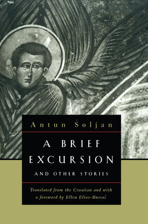 A Brief Excursion And Other Stories (European Classics),New