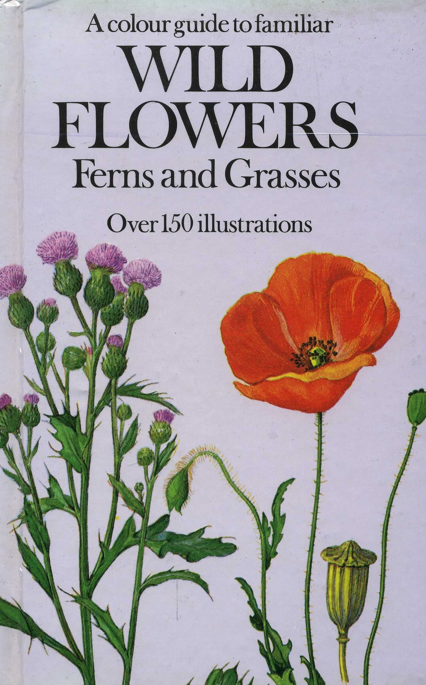 A Colour Guide To Familiar Wild Flowers, Ferns, And Grasses-new