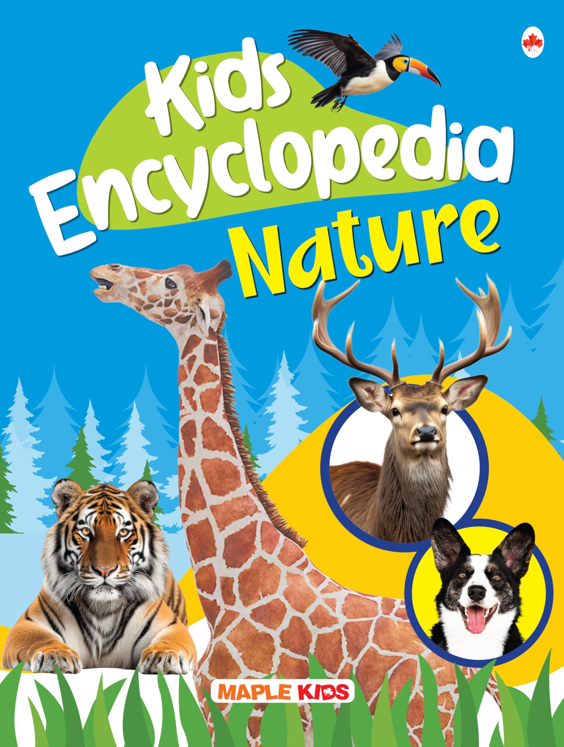 Kids Encyclopedia (Illustrated) - Nature - Knowledge Book For Kids - Age 6+ - Animals, Birds, Plants - Crustaceans - Leopard - Zooplankton - Flamingo - Seagull - Pelican - Tulip - Bamboo - Groundnut