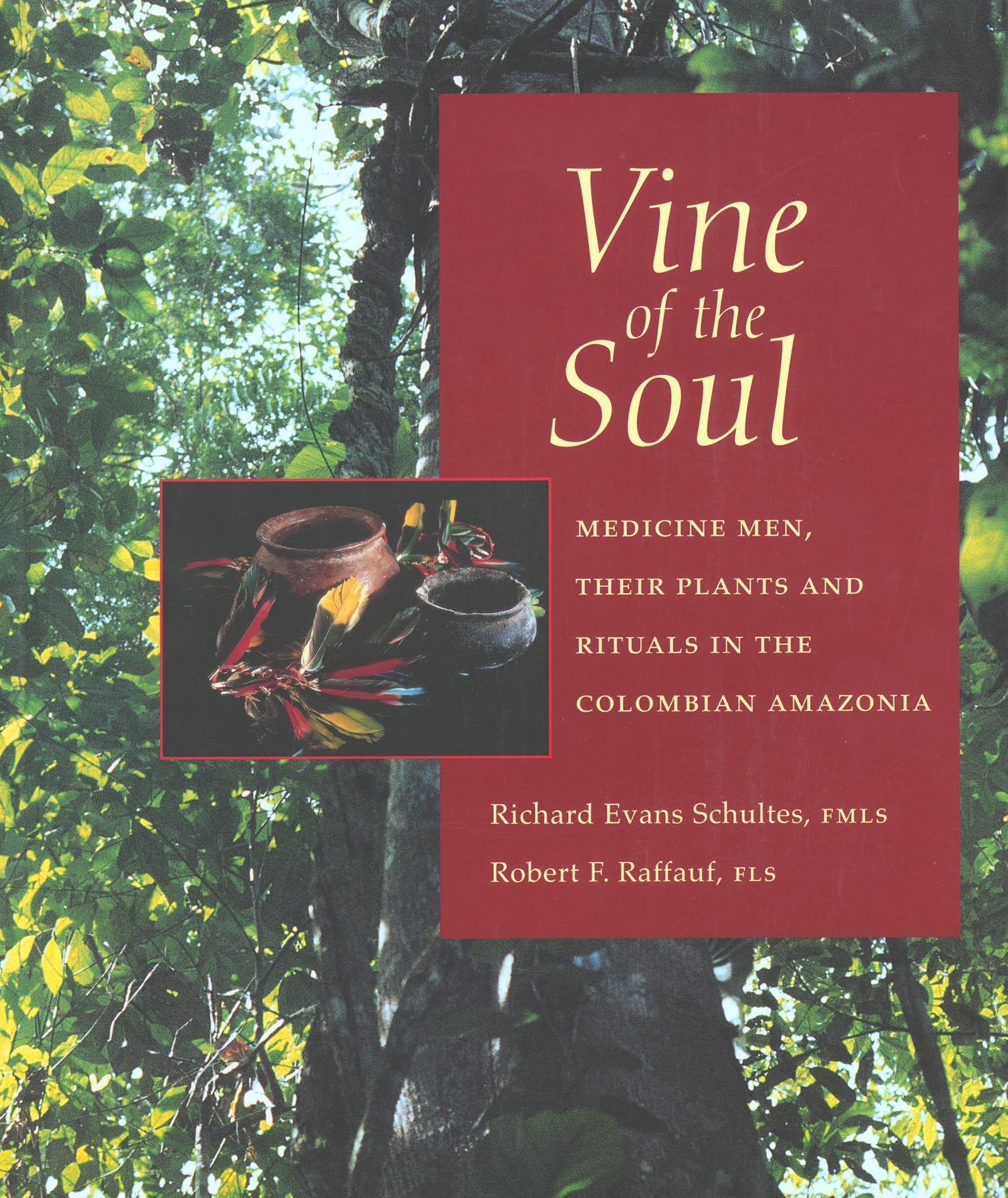 Vine of the Soul: Medicine Men, Their Plants and Rituals in the Colombian Amazonia,New