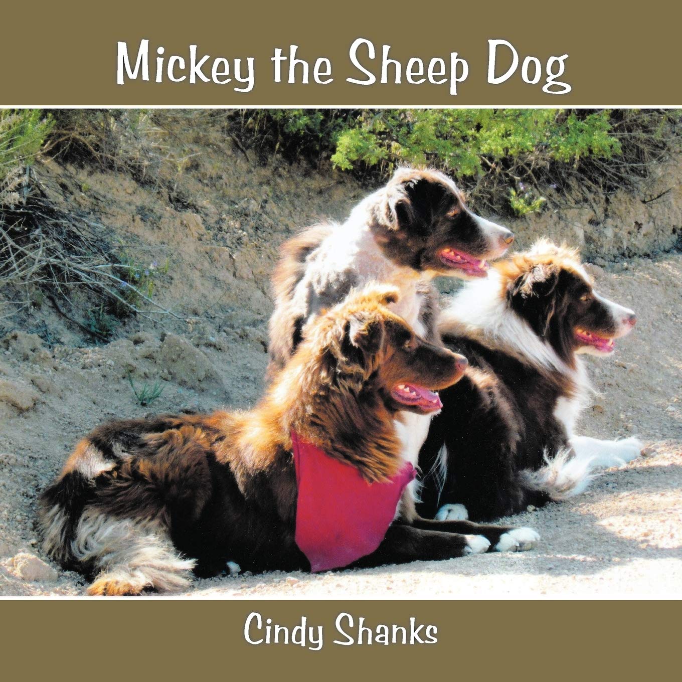 Mickey The Sheep Dog,Used