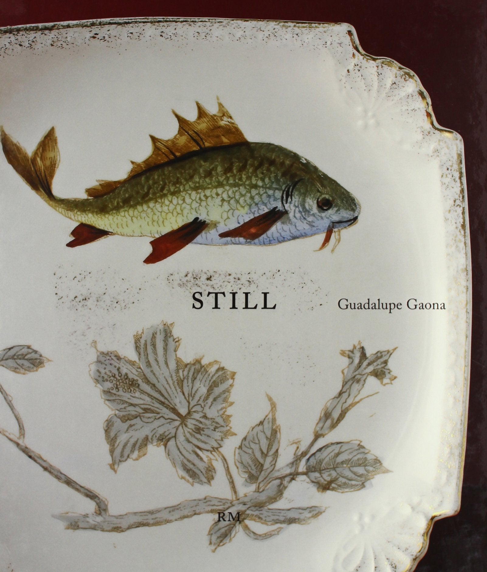Guadalupe Gaona: Still,Used