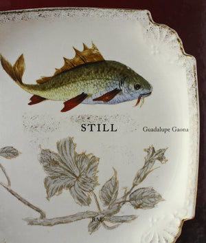 Guadalupe Gaona: Still,Used