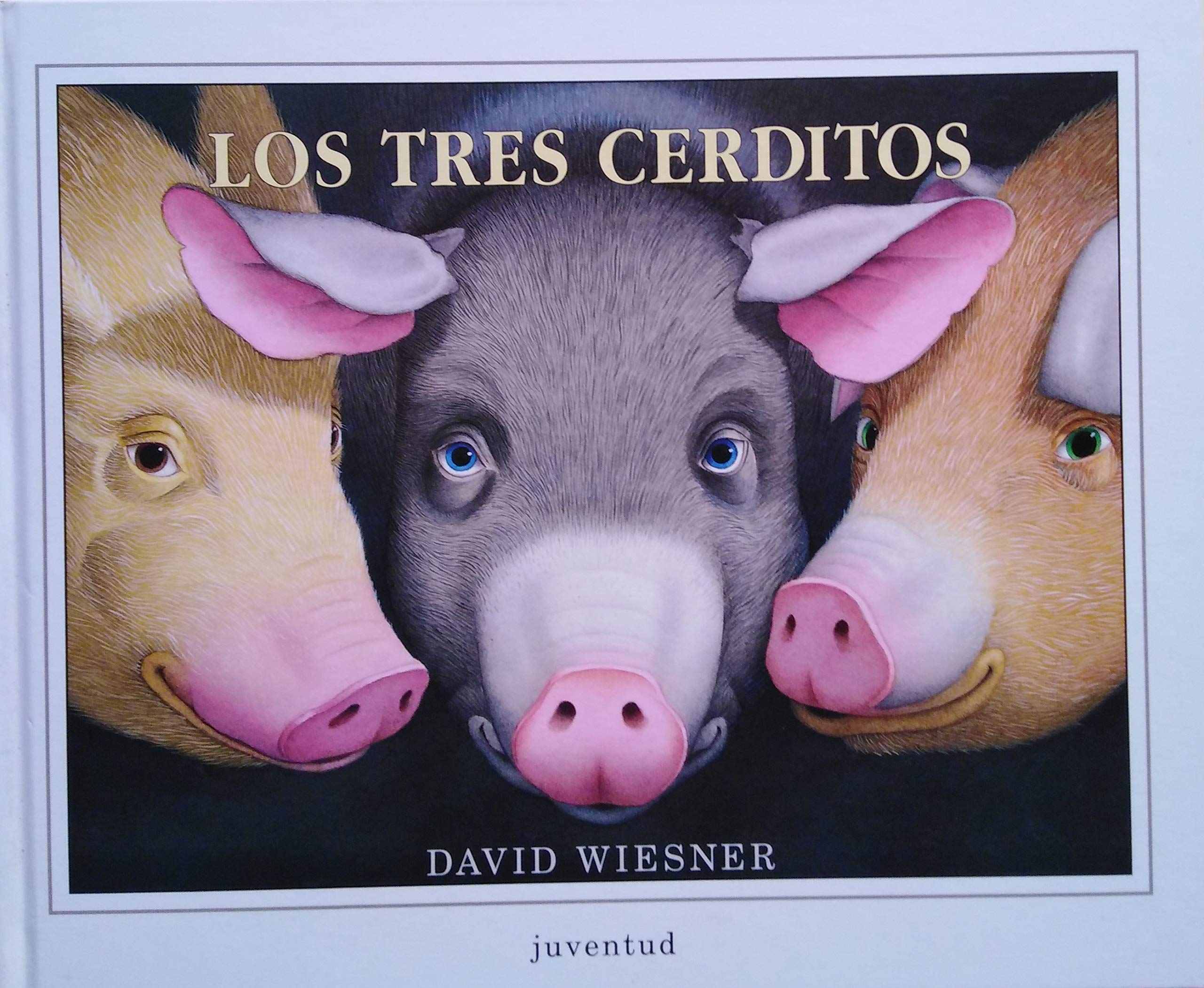 Los tres cerditos (Spanish Edition),Used