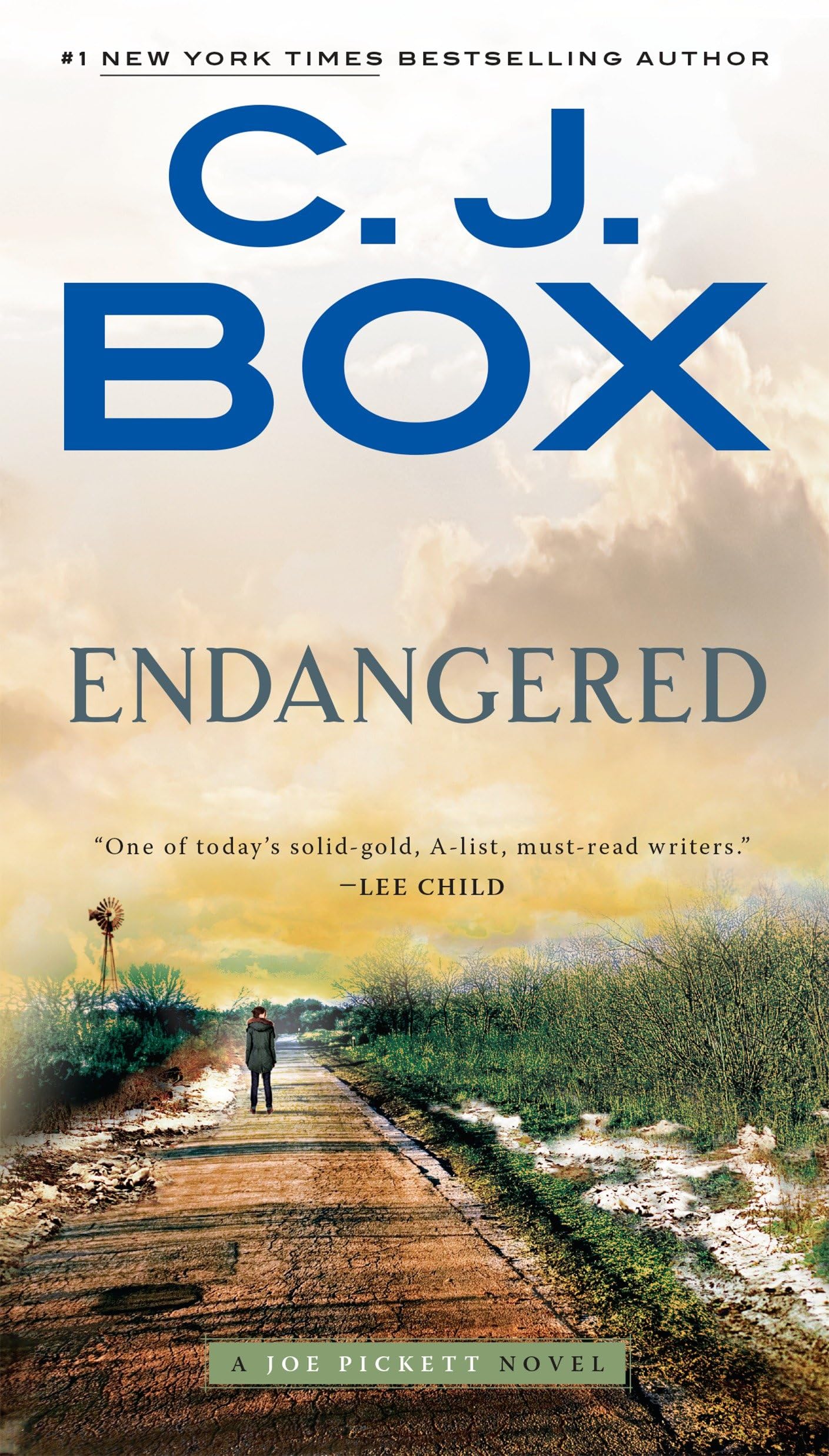 Endangered (A Joe Pickett Novel),New
