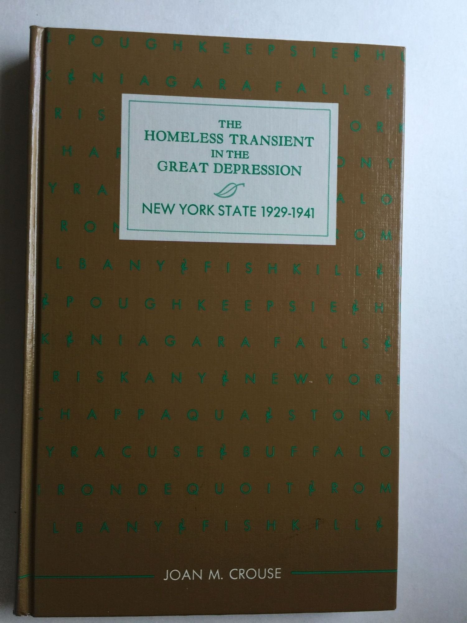 The Homeless Transient in the Great Depression: New York State, 19291941,Used