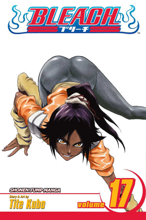 Bleach, Vol. 17,New