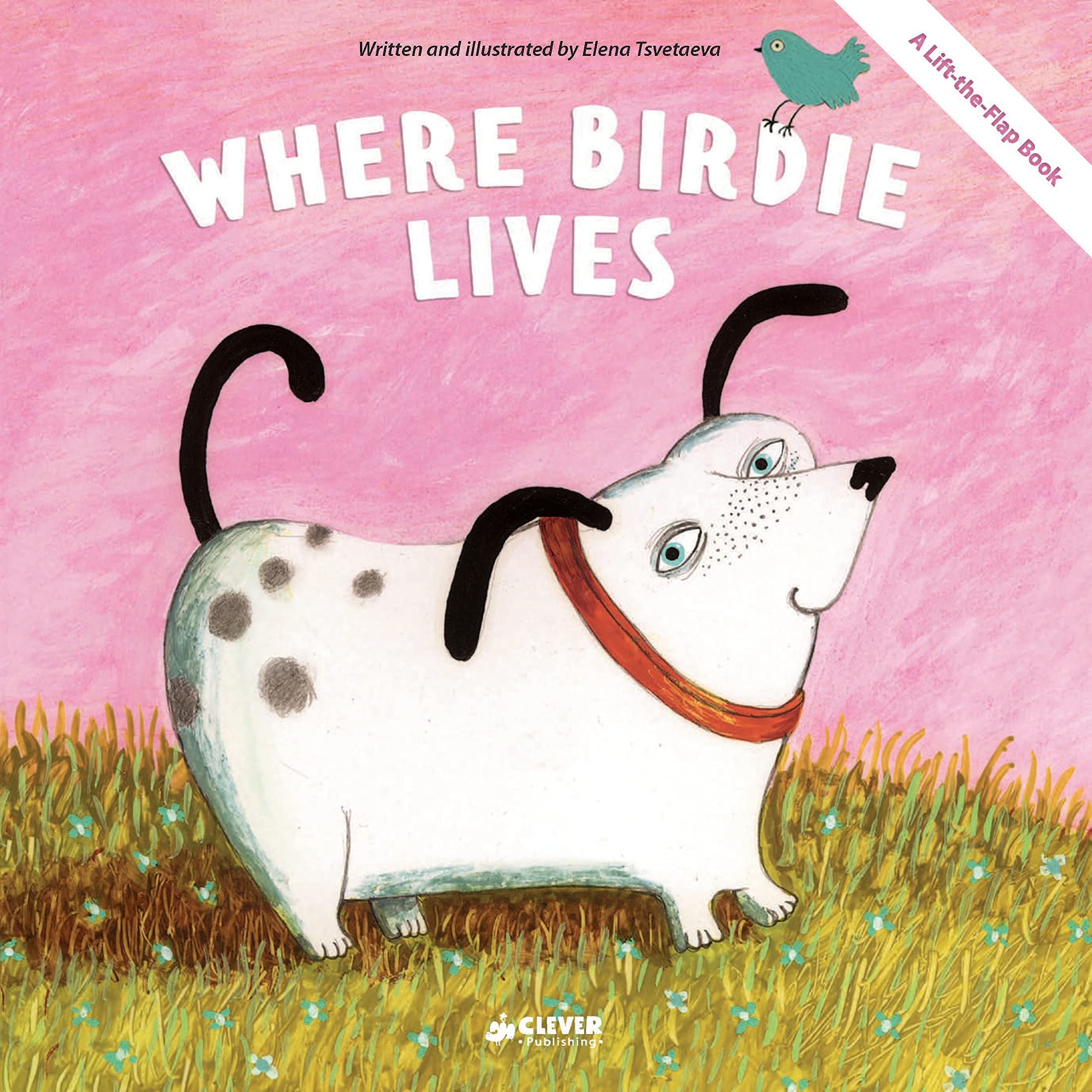 Where Birdie Lives: A Lifttheflap Book (Clever Flaps)