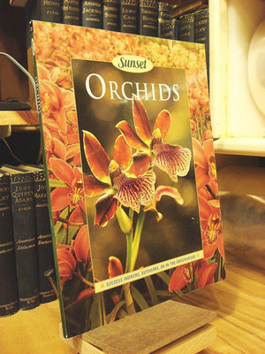 Orchids (Sunset),Used