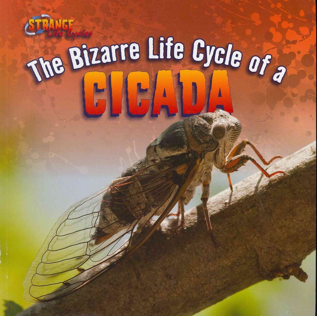 The Bizarre Life Cycle of a Cicada (Strange Life Cycles),Used