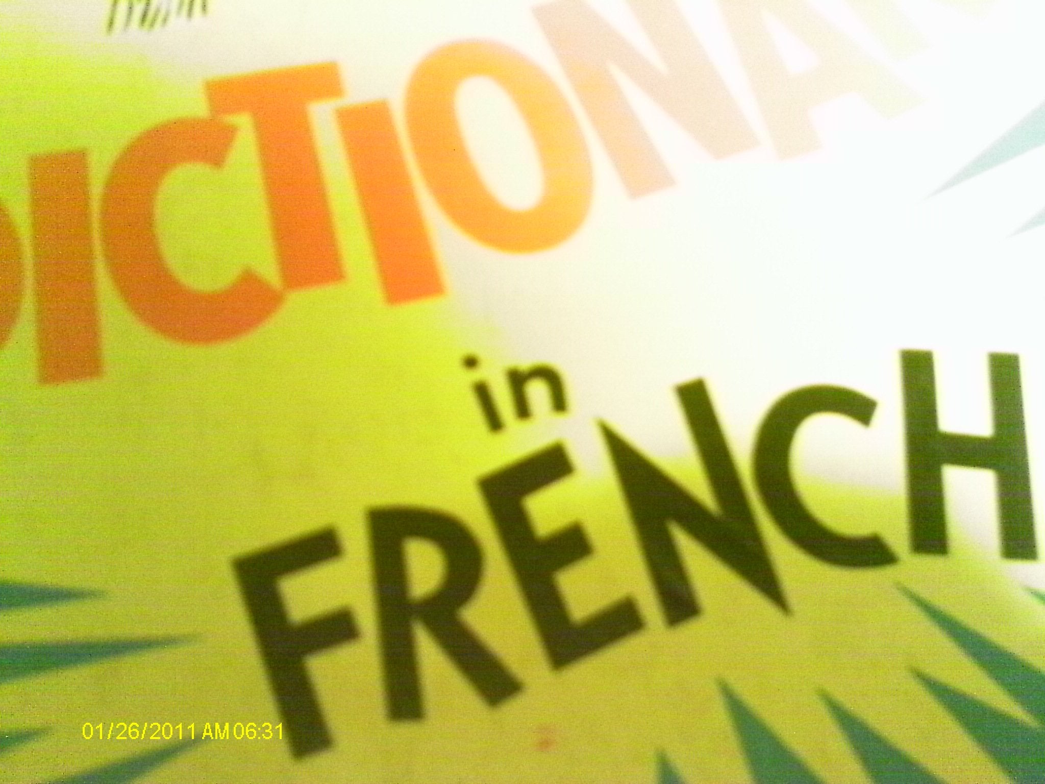 Dictionary In French