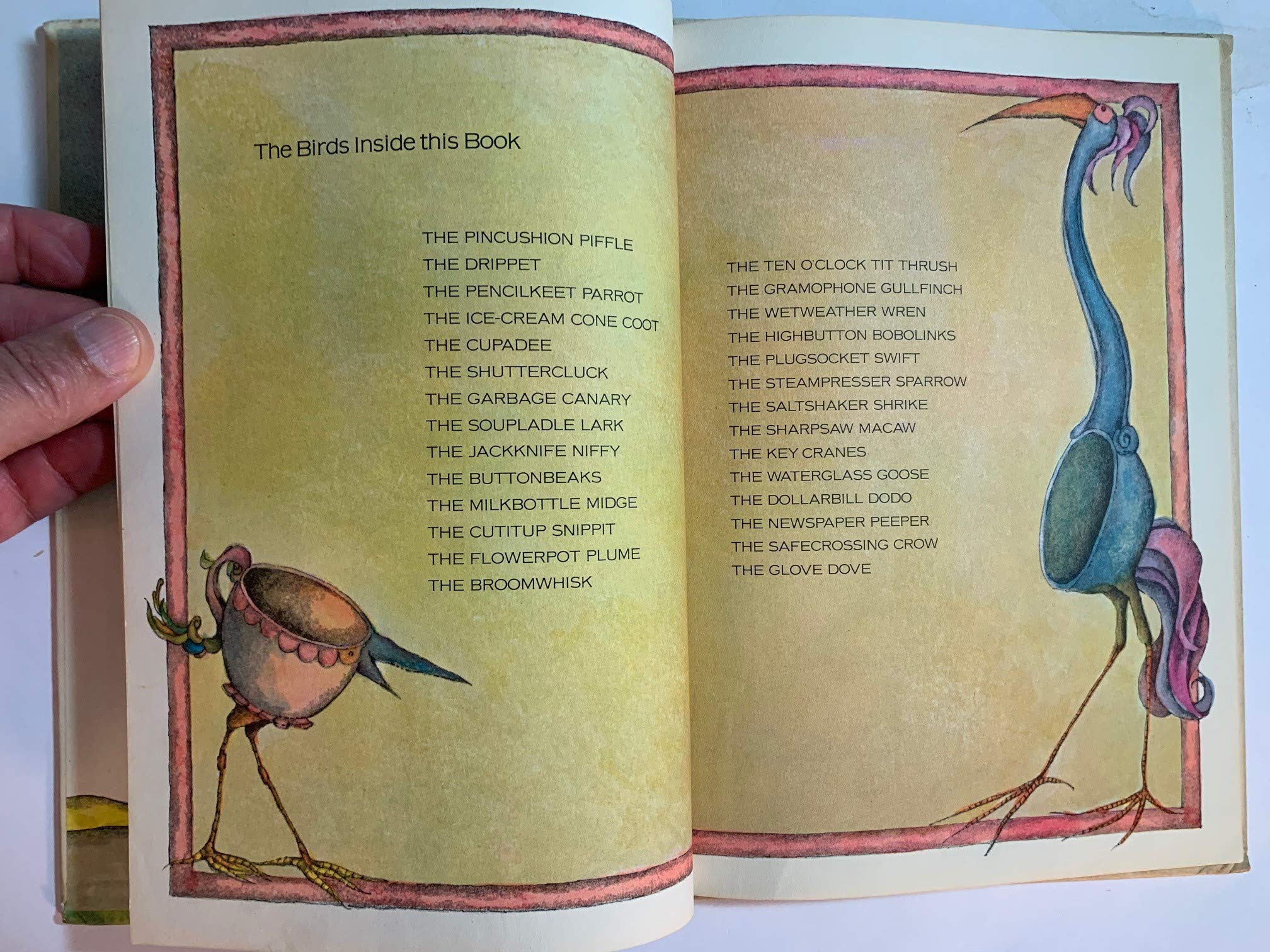 The Icecream Cone Coot And Other Rare Birds,New