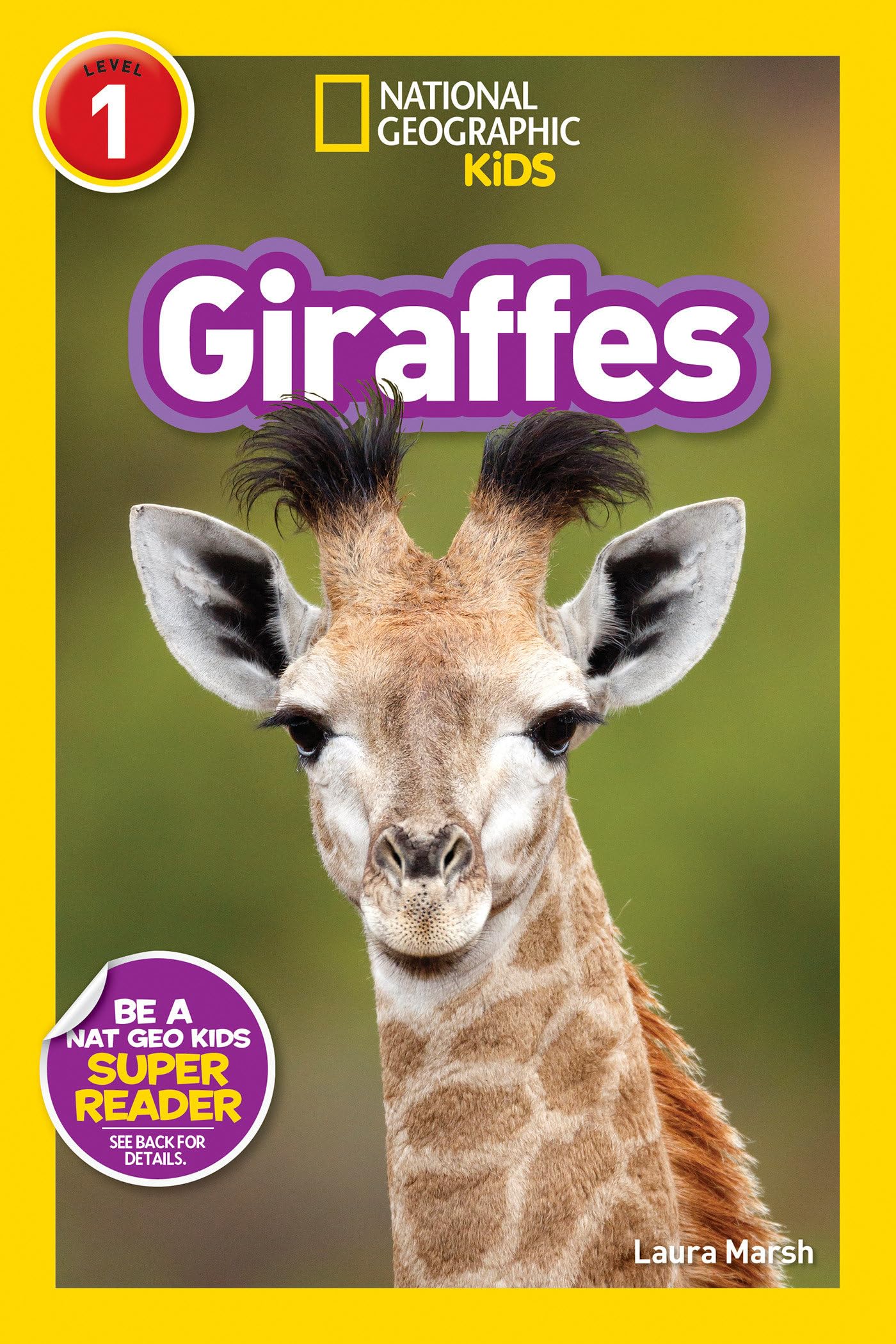Giraffes (National Geographic Kids Readers, Level 1),Used