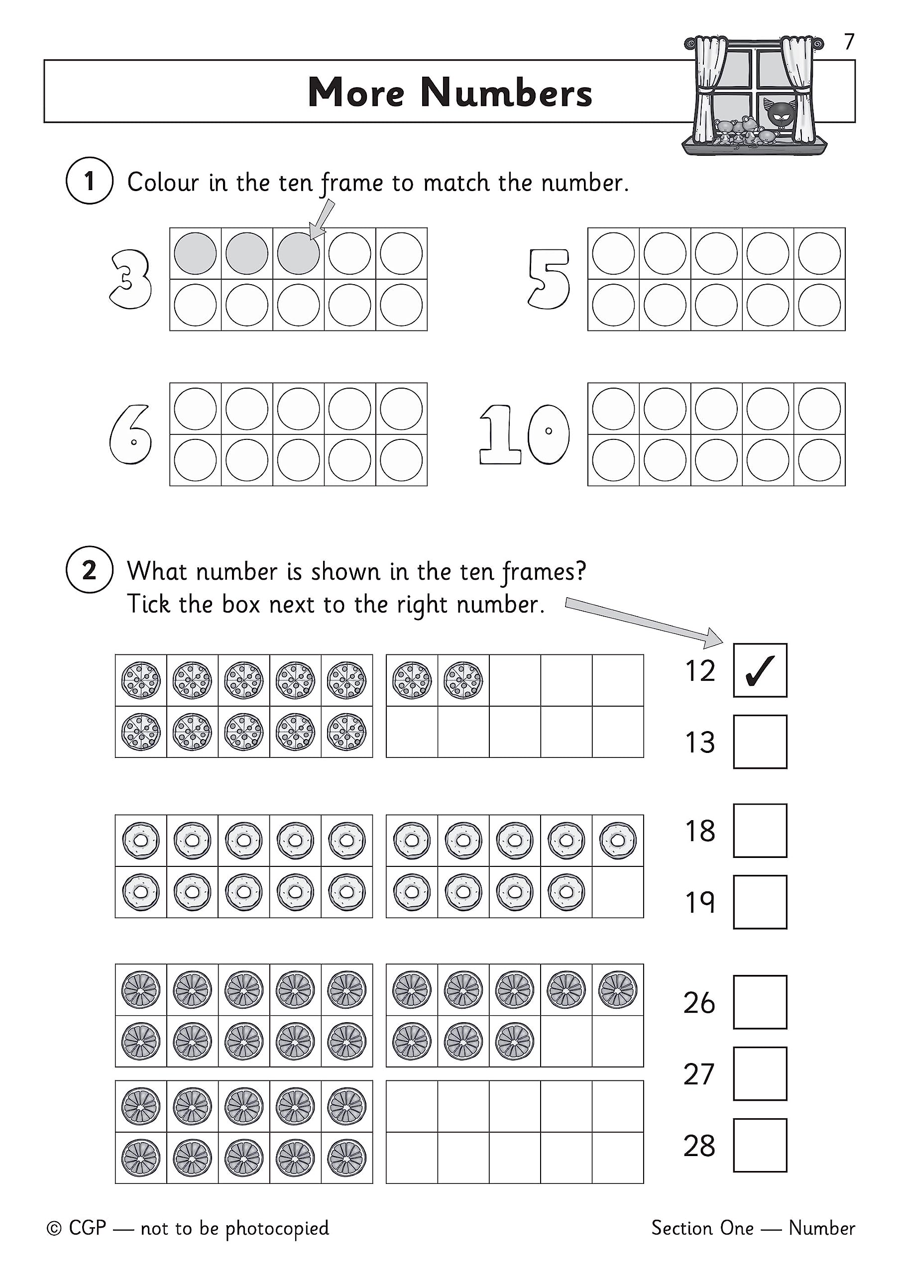 Reception Maths Workout (CGP Reception),Used