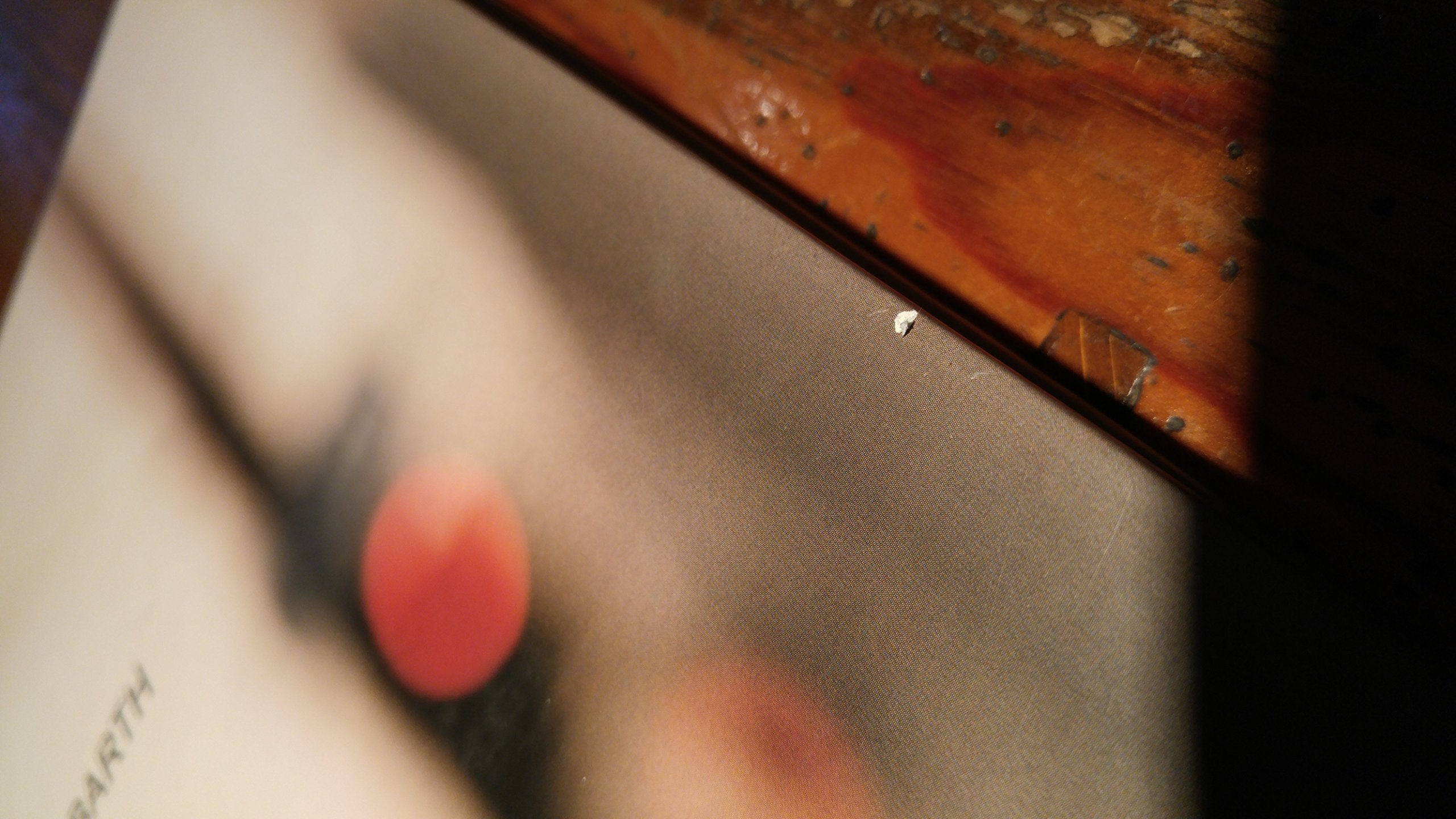 Uta Barth In Between Places,Used