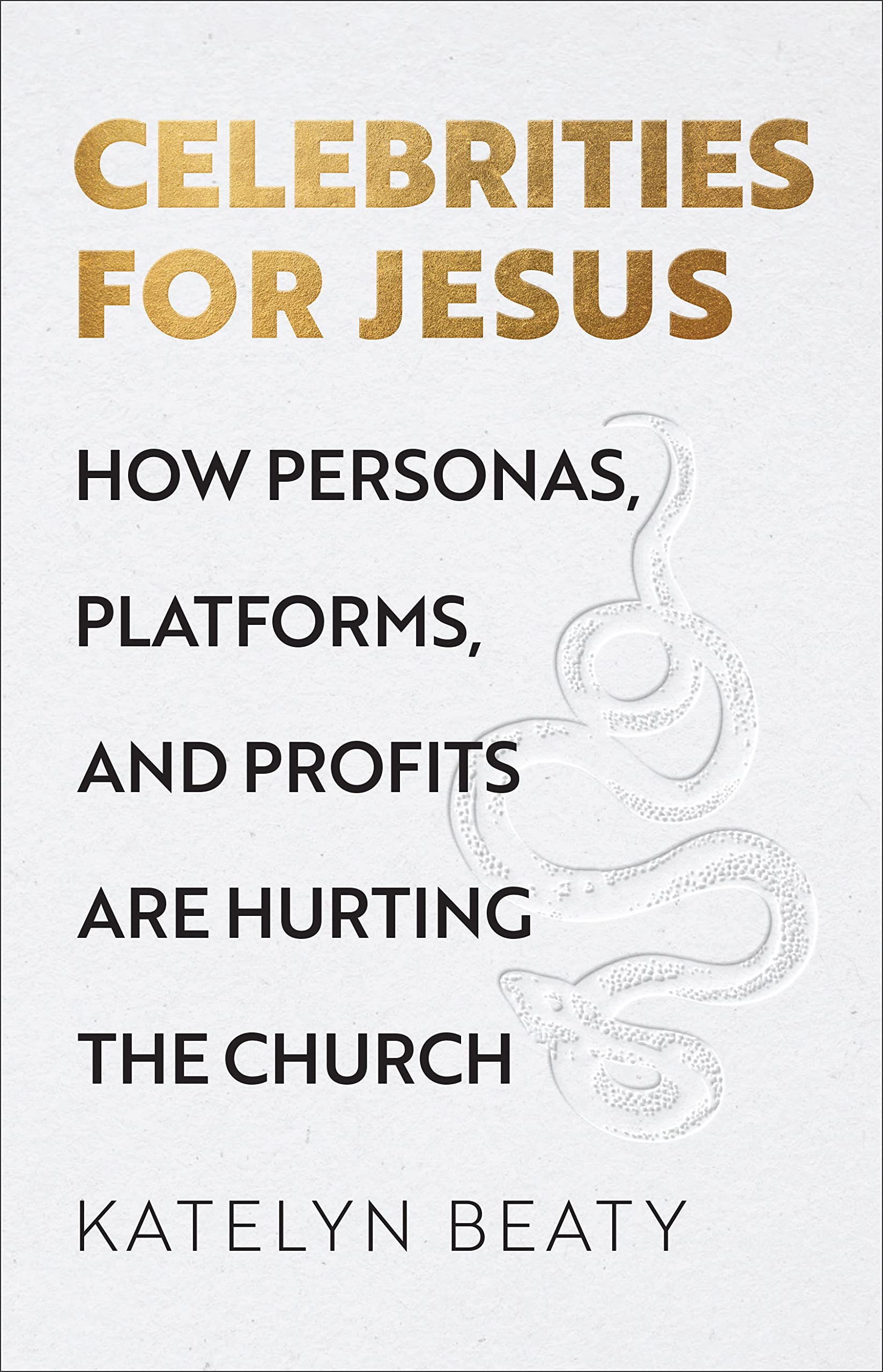 Celebrities For Jesus: How Personas, Platforms, And Profits Are Hurting The Church,Used