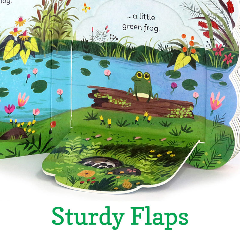 Little Green Frog Chunky LiftaFlap Board Book (Babies Love),New