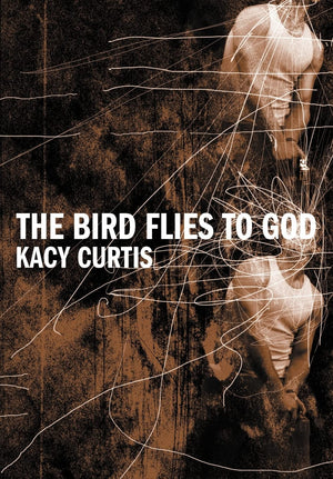 The Bird Flies to God,Used