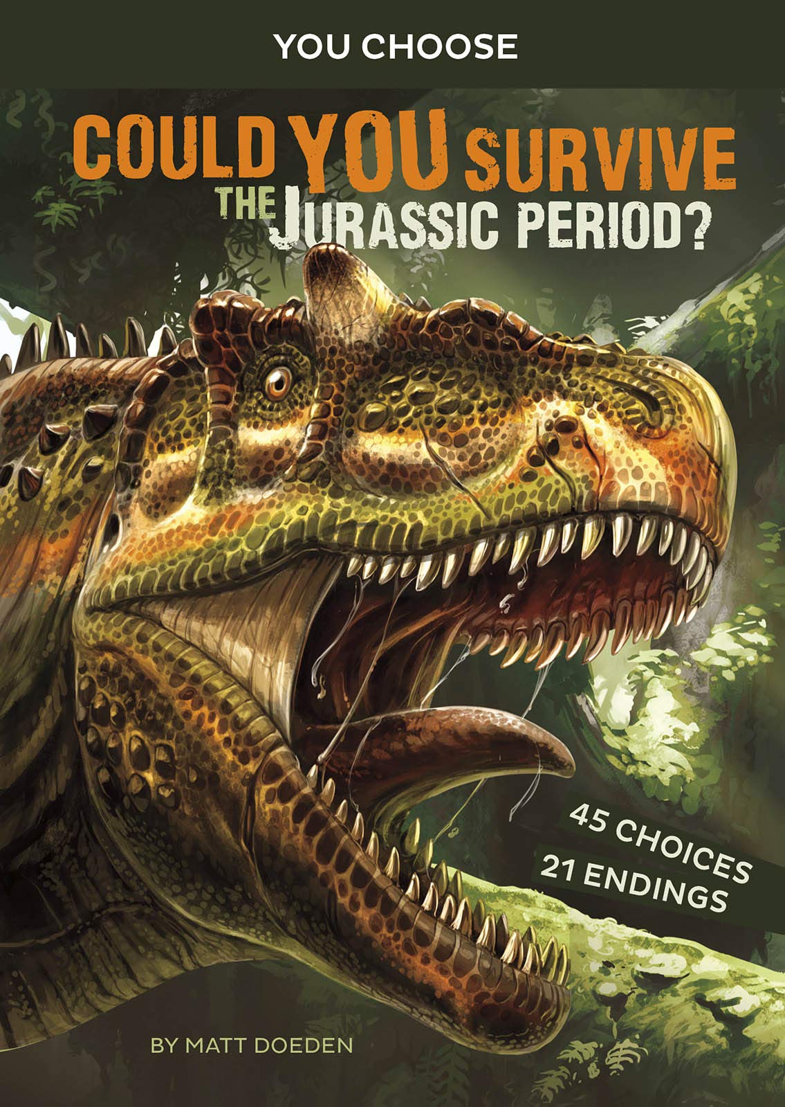 Could You Survive the Jurassic Period?: An Interactive Prehistoric Adventure (You Choose: Prehistoric Survival),Used