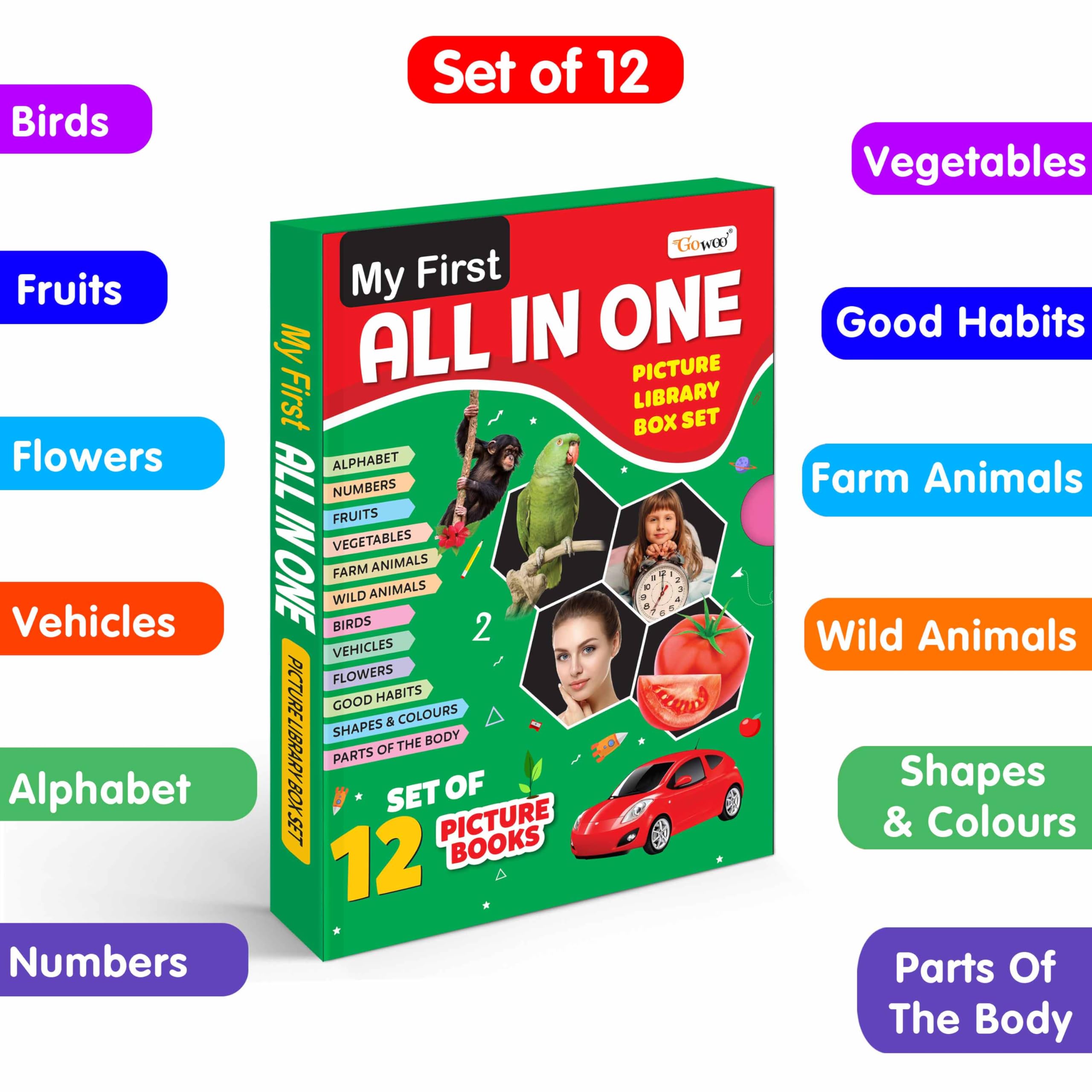 My First All In One Picture Library Box (Green Edition) : Learning Book For Kids, Educational Picture Books For Toddlers, Collection Of 12 Books