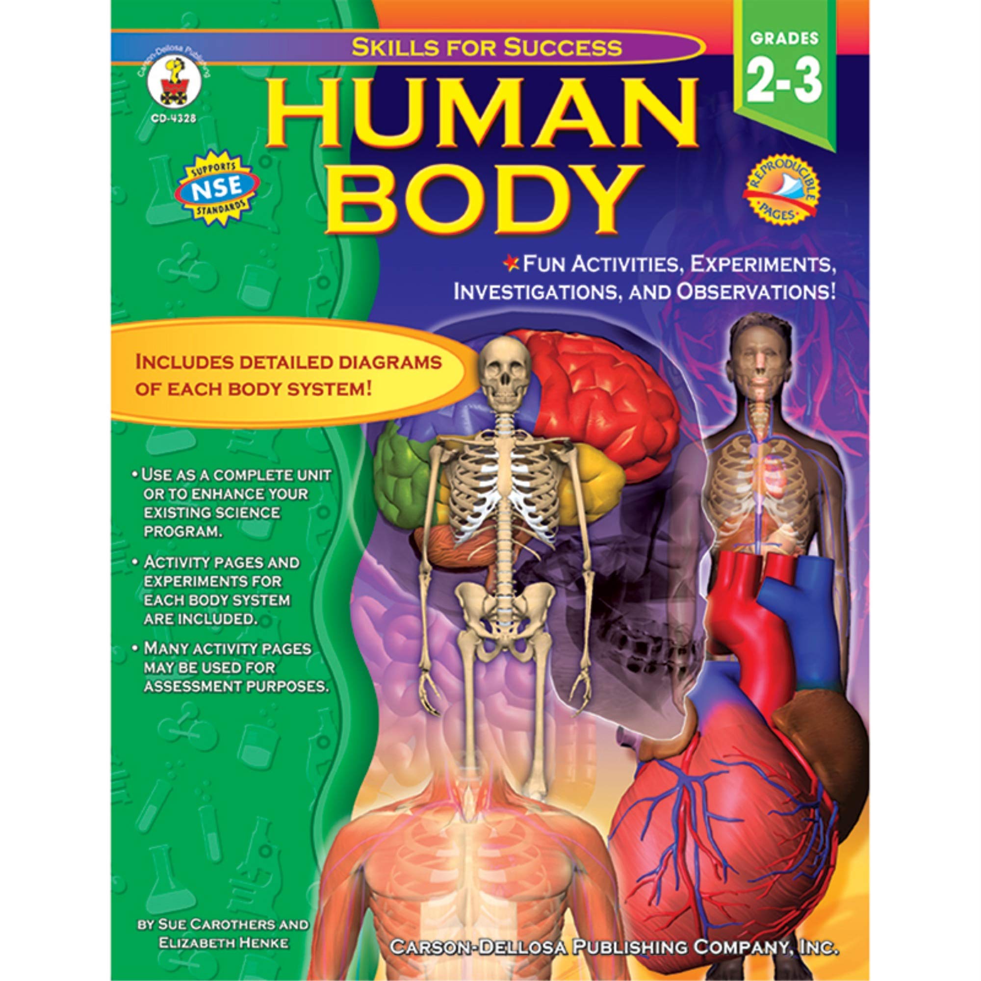 Human Body, Grades 2  3 (Skills for Success),Used