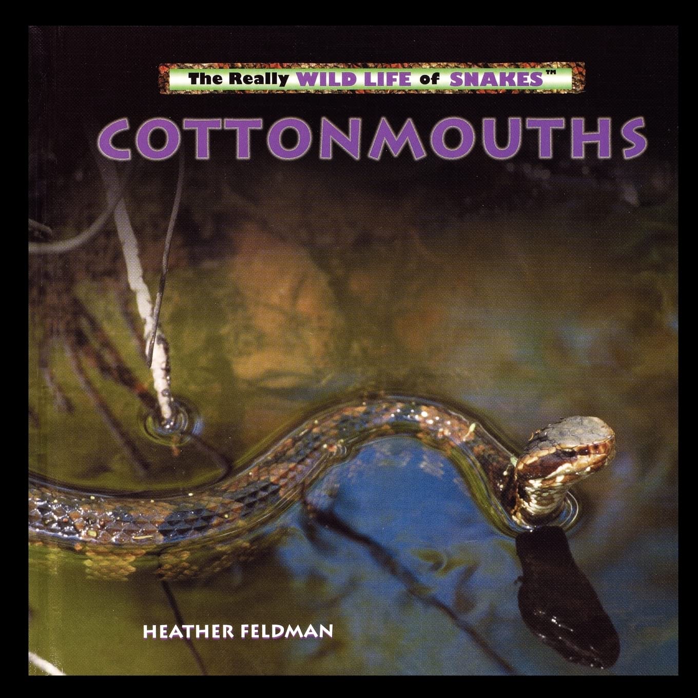 Cottonmouths,Used