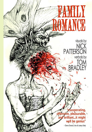 Family Romance: A Novel,Used
