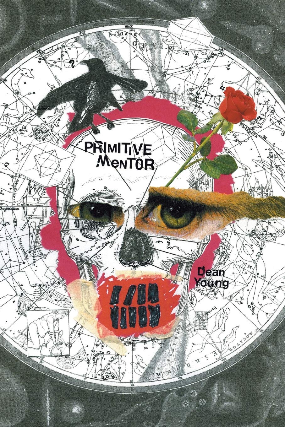 Primitive Mentor (Pitt Poetry Series),New