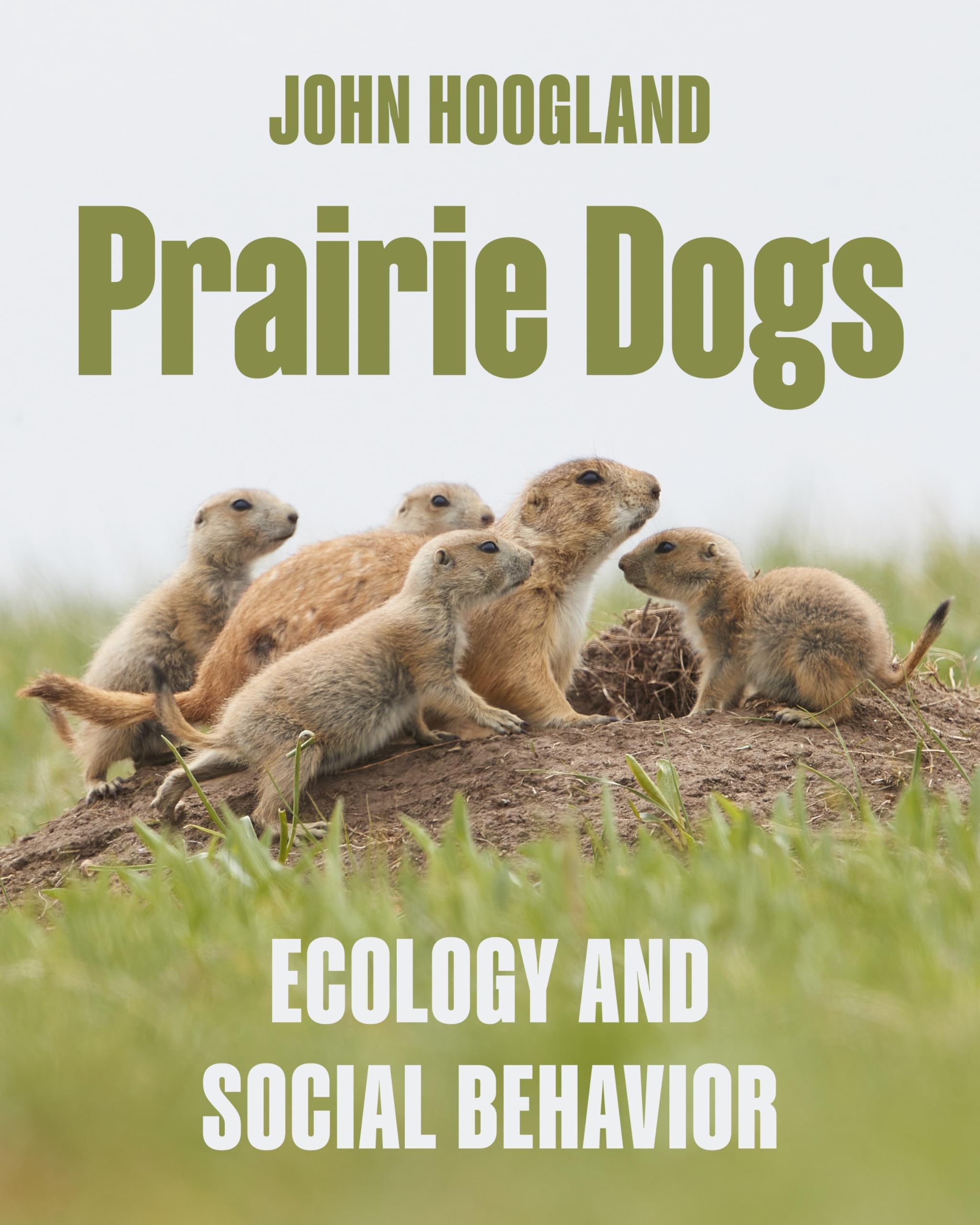 Prairie Dogs: Ecology And Social Behavior