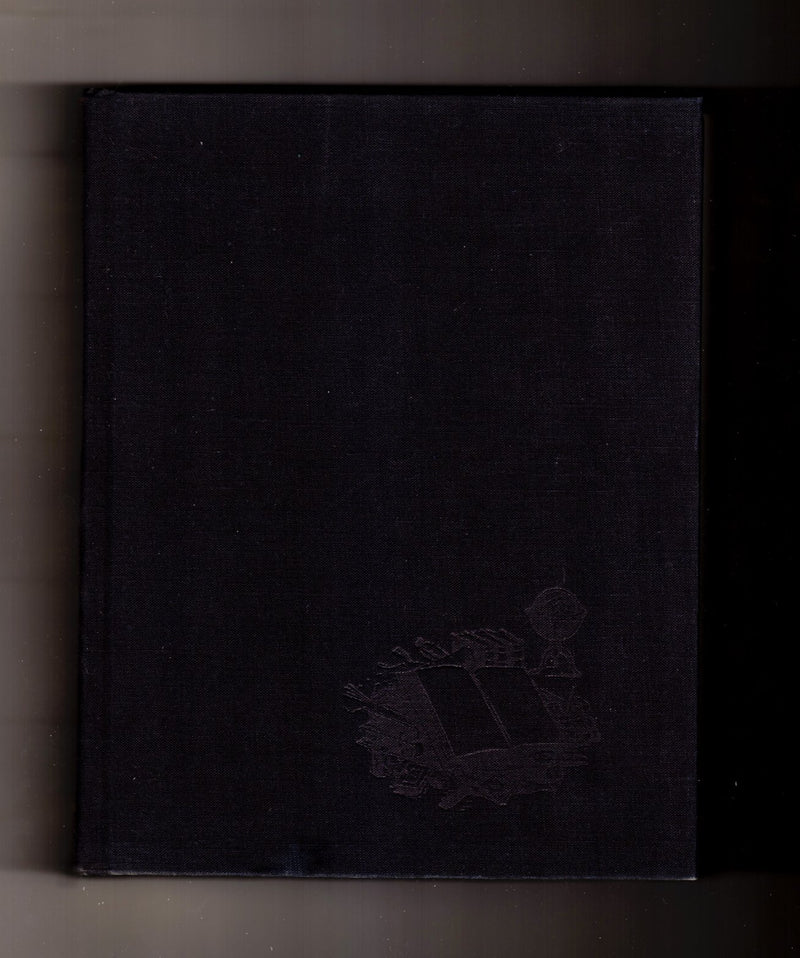 An Incomplete Education,New