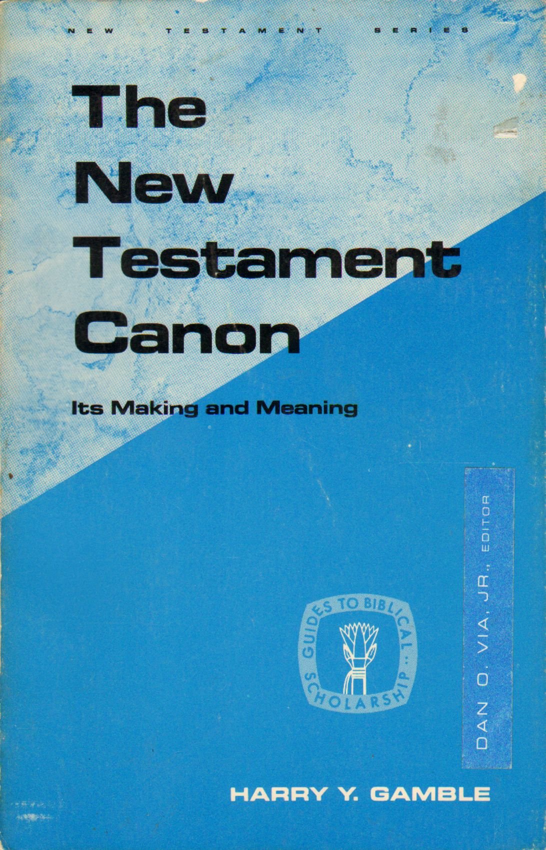 The New Testament Canon: Its Making and Meaning (GUIDES TO BIBLICAL SCHOLARSHIP NEW TESTAMENT SERIES),Used