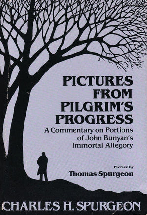 Pictures From Pilgrim's Progress,Used