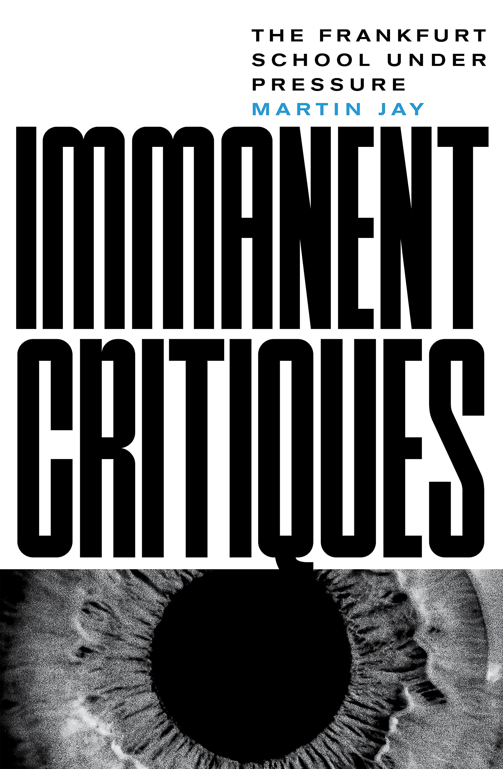 Immanent Critiques: The Frankfurt School Under Pressure,Used