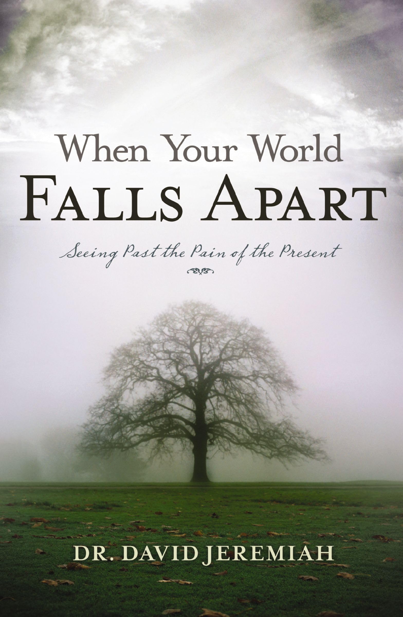 When Your World Falls Apart: See Past the Pain of the Present,Used