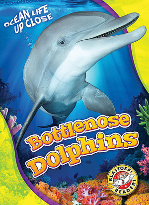 Bottlenose Dolphins (Ocean Life Up Close),Used