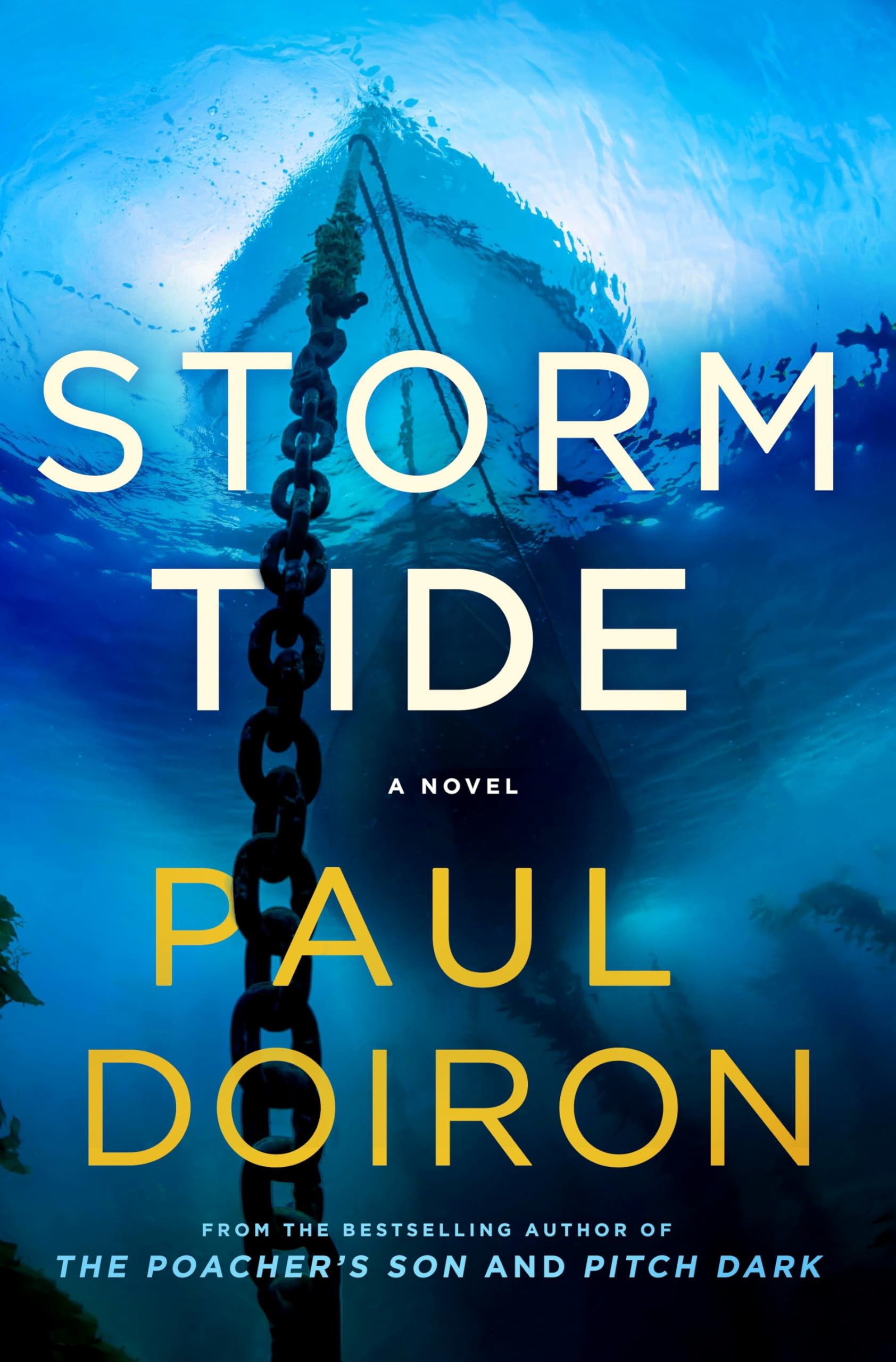 Storm Tide: A Novel (Mike Bowditch Mysteries, 16)