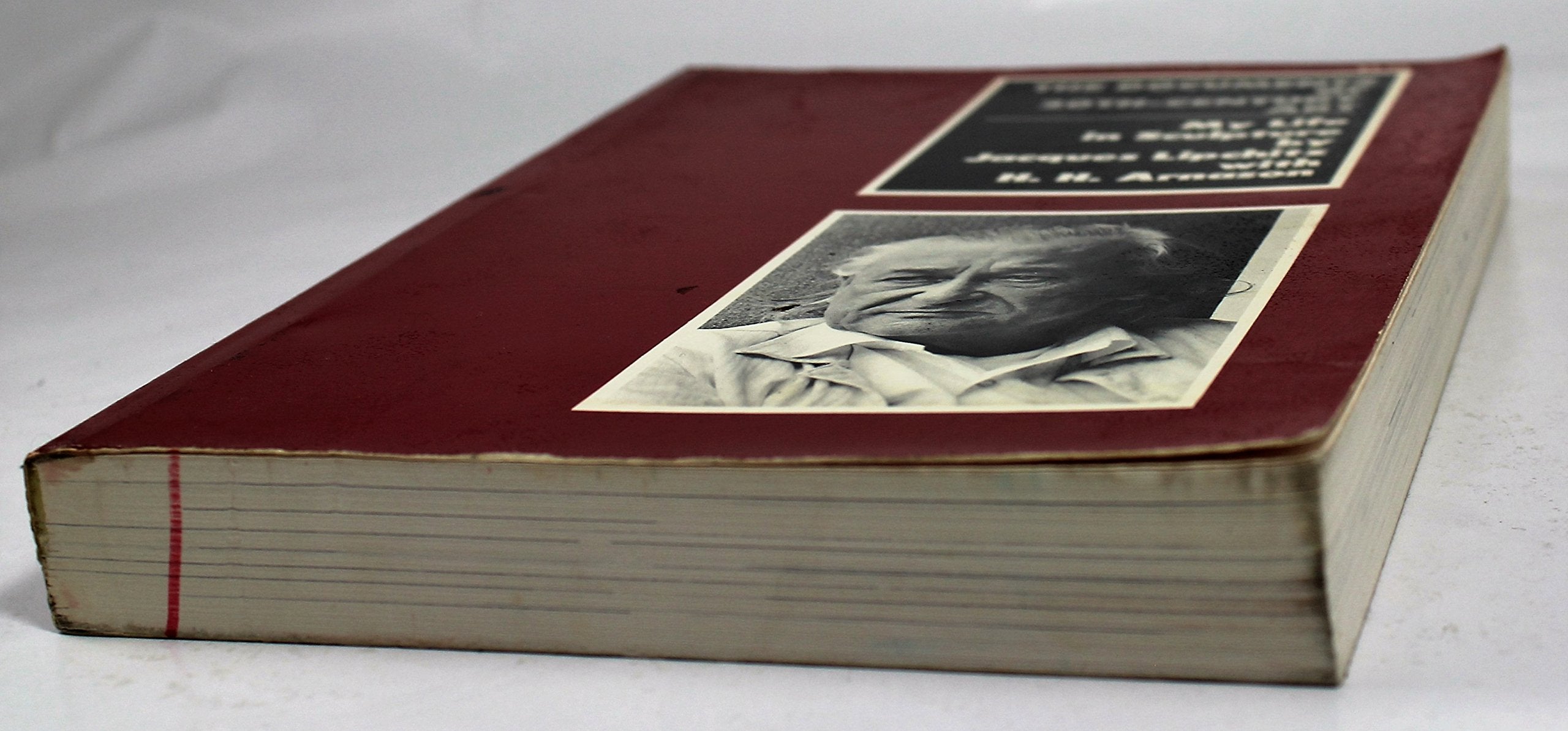 My Life in Sculpture,Used