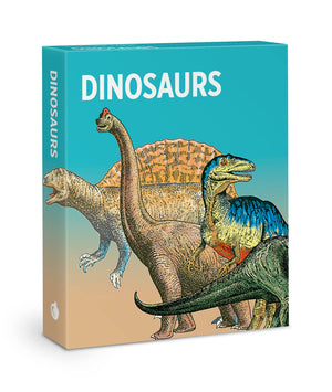 Dinosaurs Knowledge Cards Deck,Used