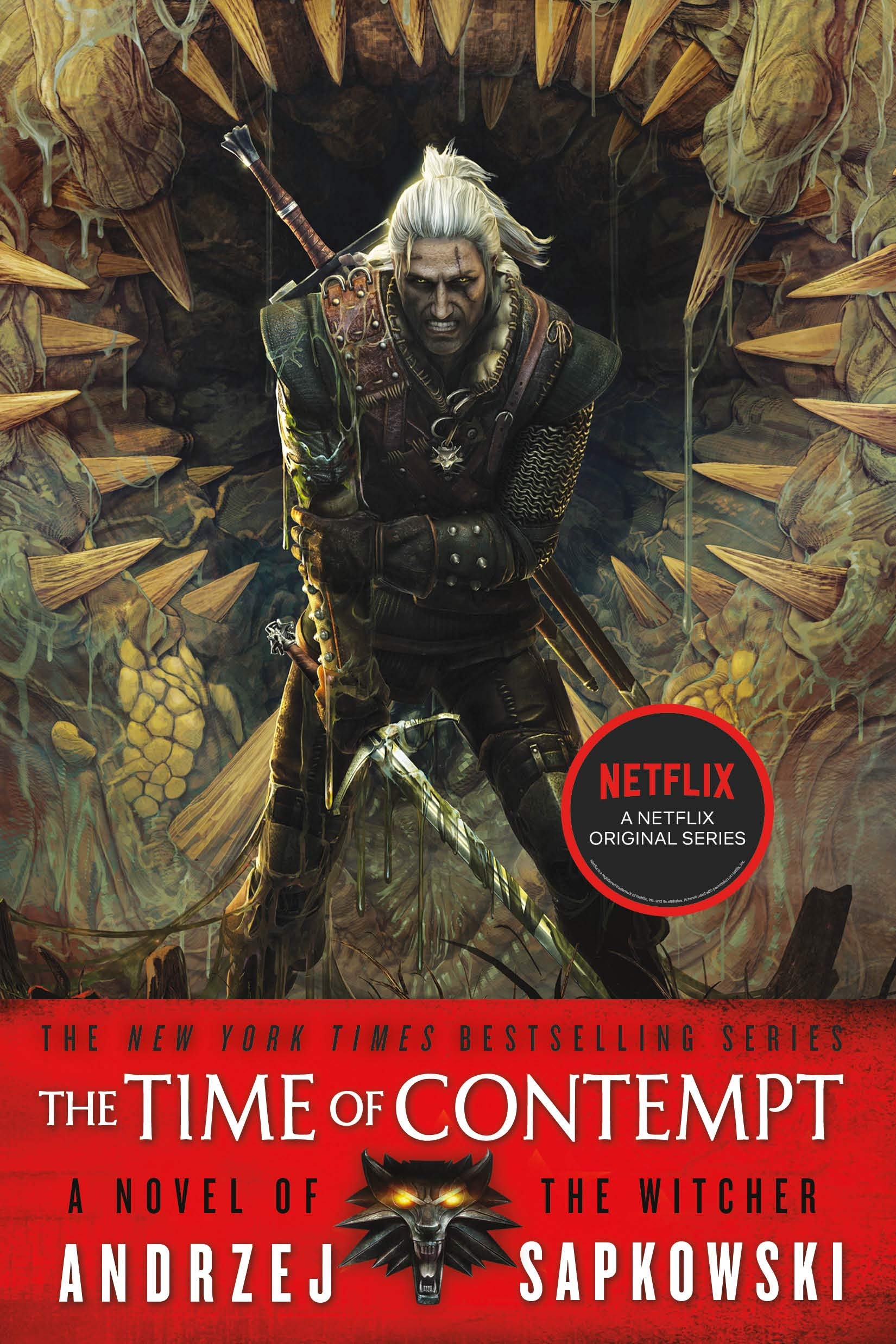 The Time Of Contempt (The Witcher, 4)-used