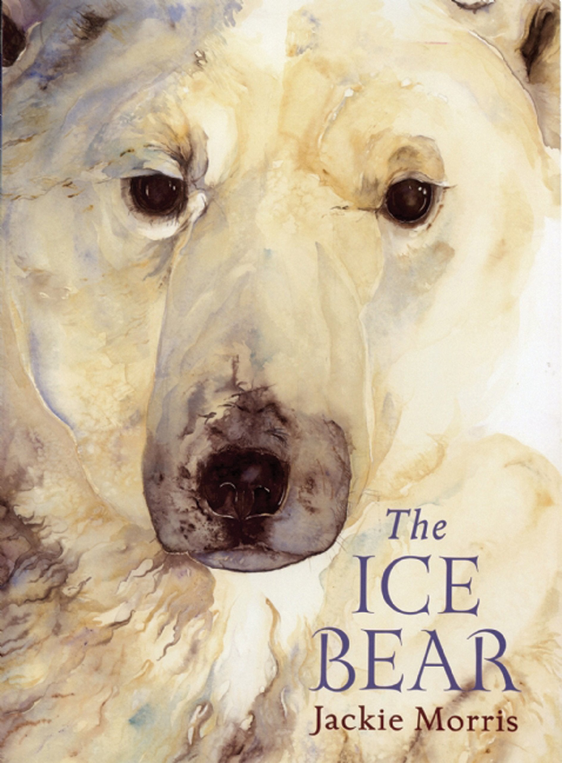 The Ice Bear,Used