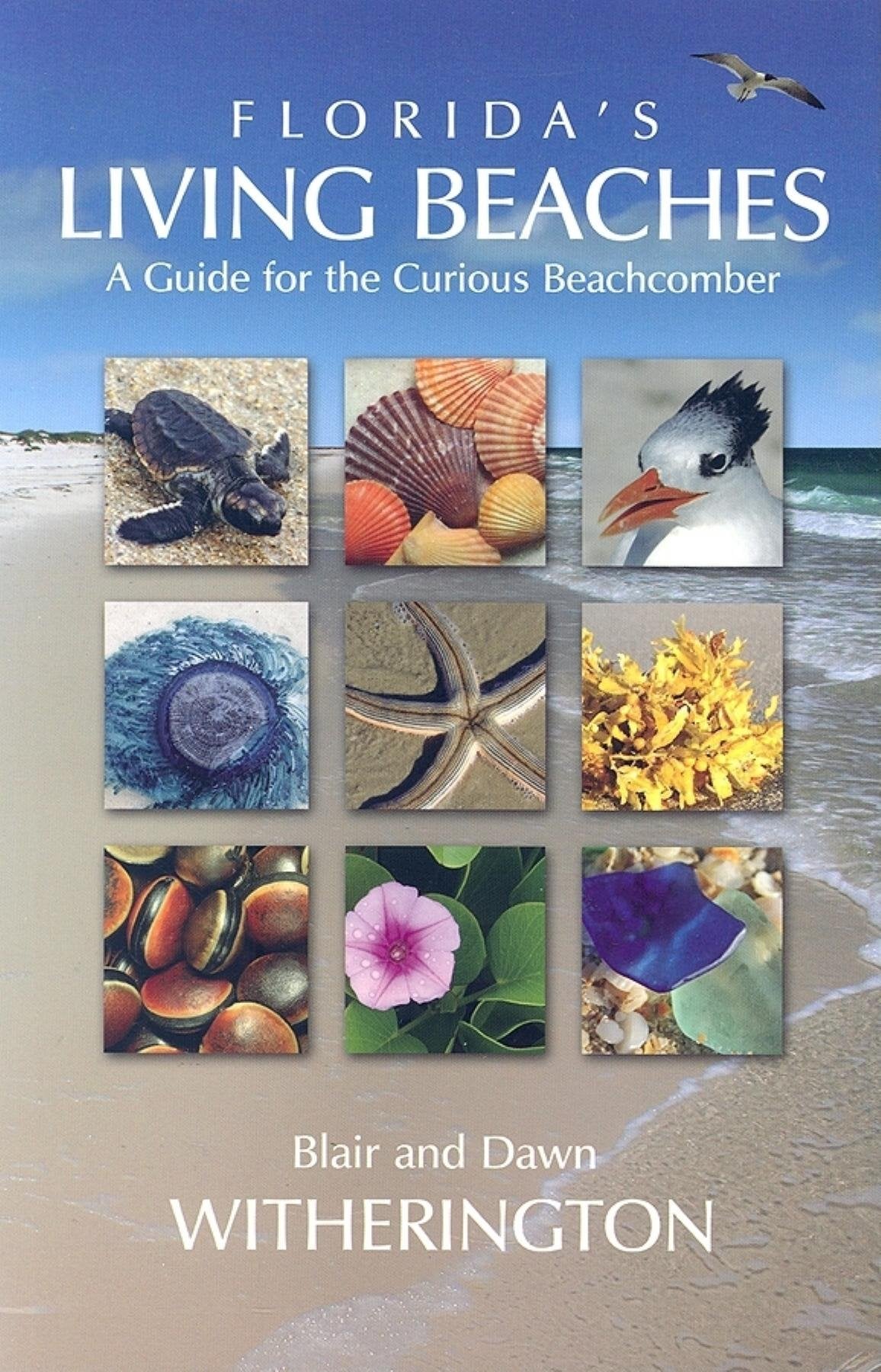 Florida's Living Beaches: A Guide for the Curious Beachcomber,Used
