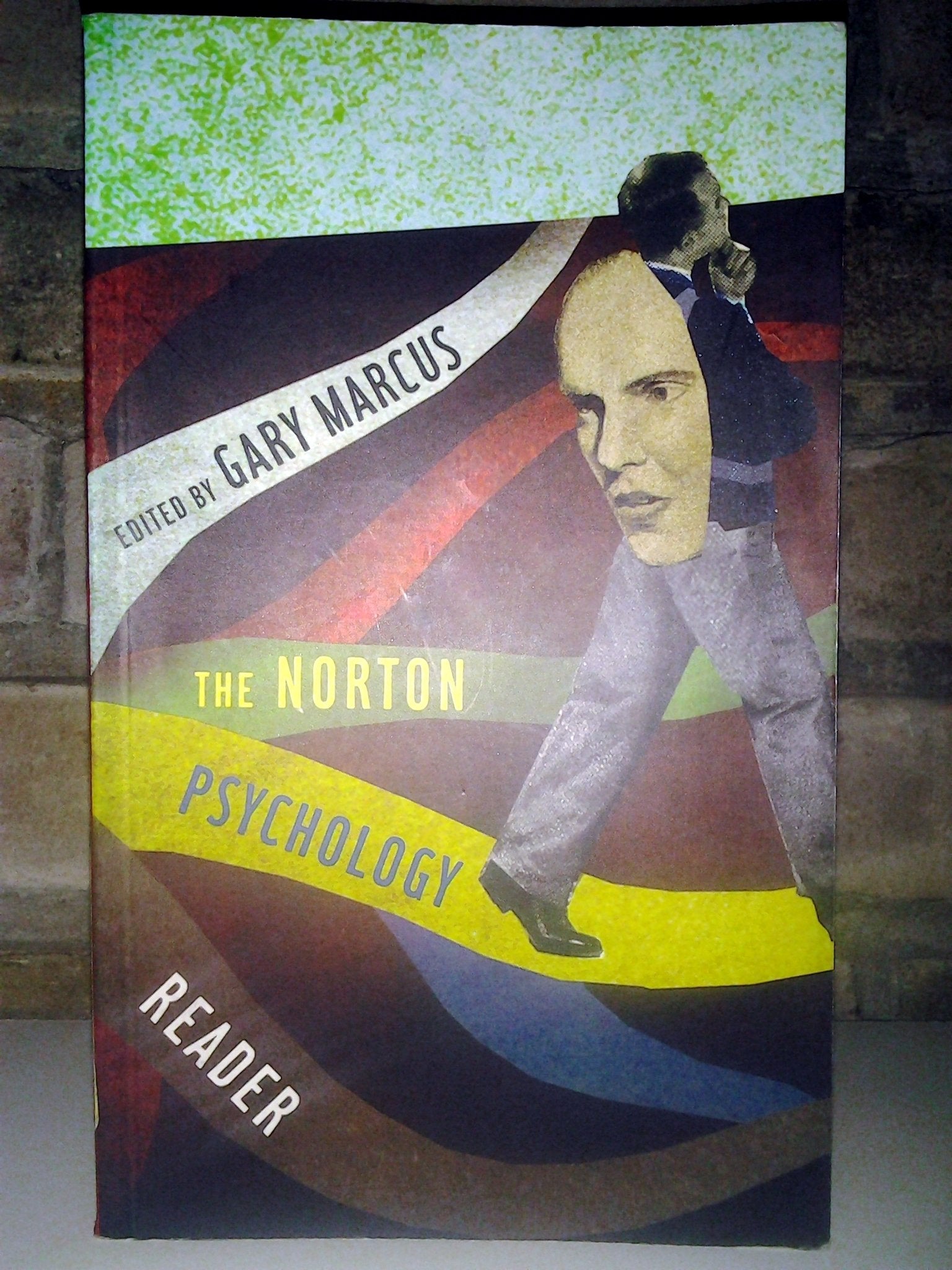 The Norton Psychology Reader,Used