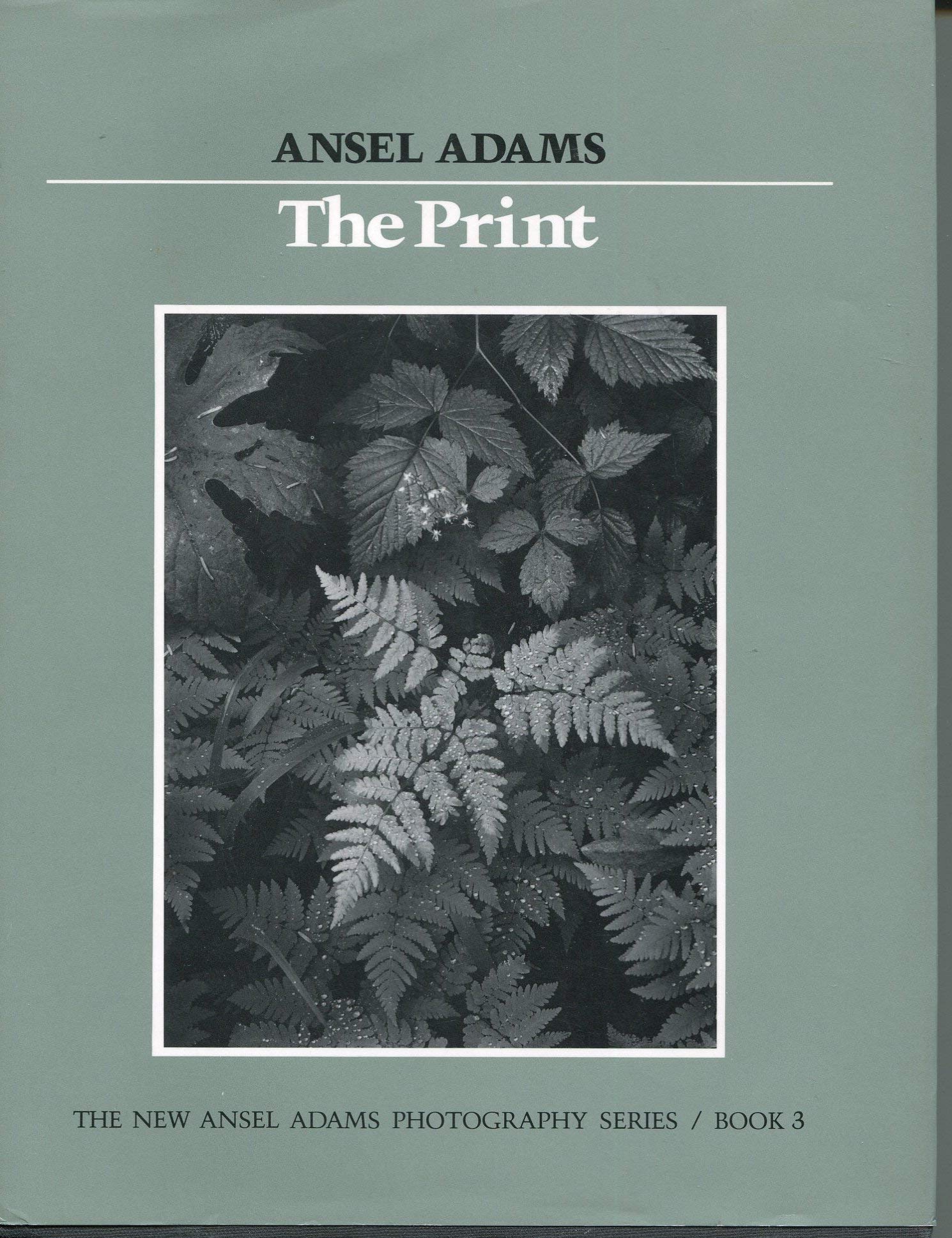 The Print (New Ansel Adams Photography Series, Book 3),Used