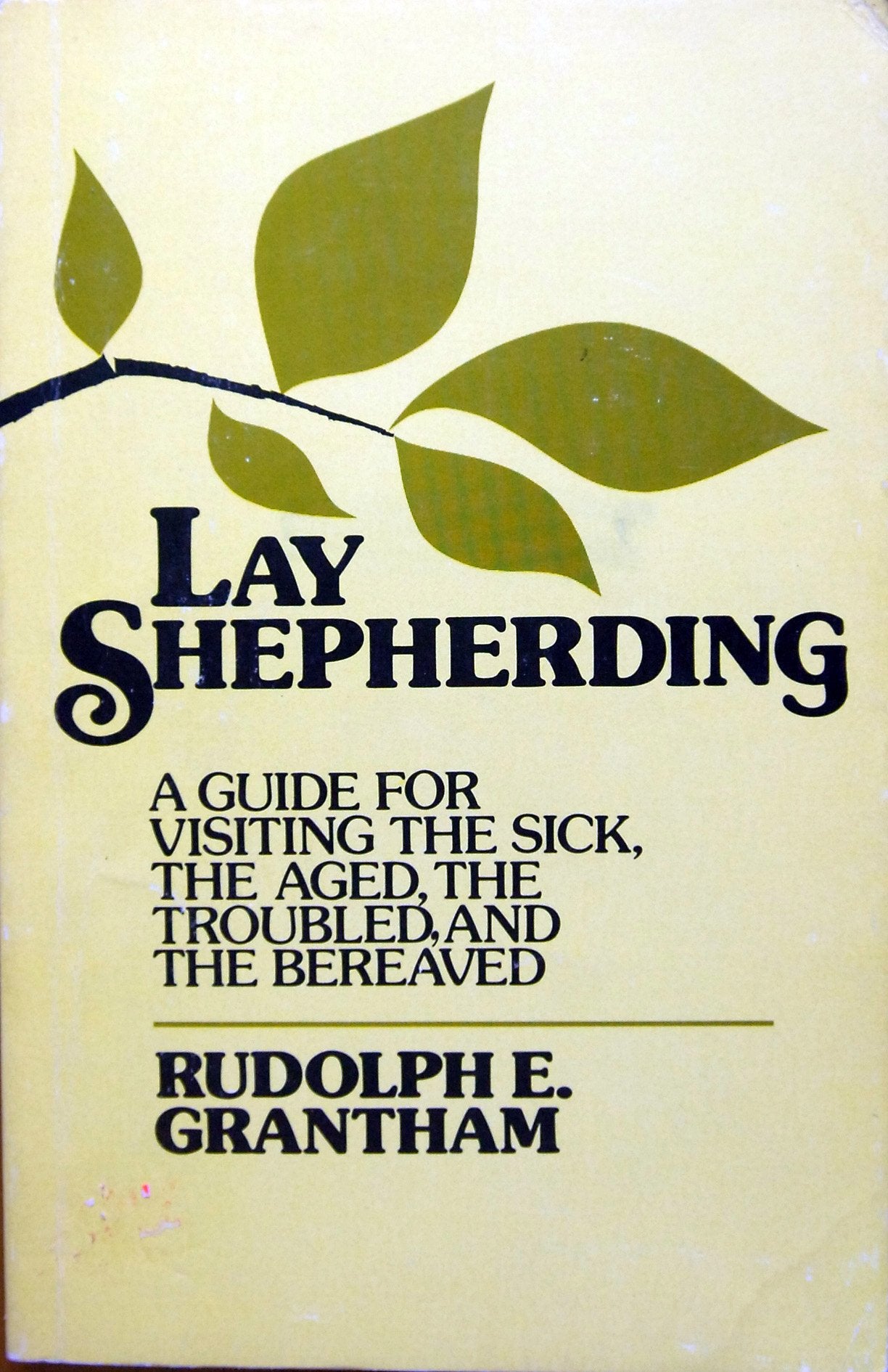 Lay Shepherding: A Guide For Visiting The Sick, The Aged, The Troubled And The Bereaved,New
