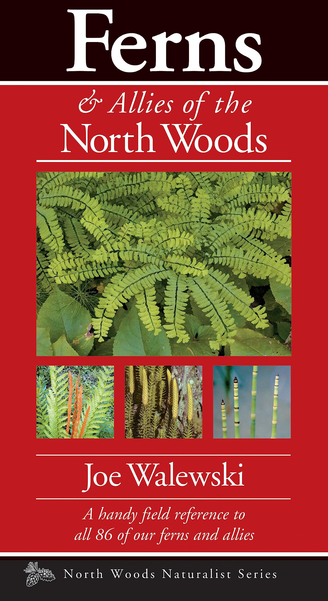 Ferns & Allies Of The North Woods: A Handy Field Reference To All 86 Of Our Ferns And Allies (Naturalist Series)