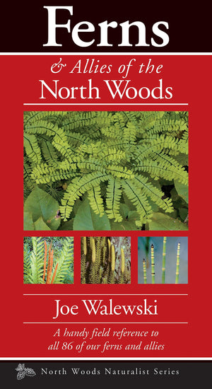 Ferns & Allies Of The North Woods: A Handy Field Reference To All 86 Of Our Ferns And Allies (Naturalist Series)