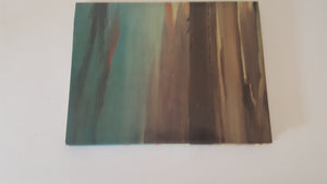 Observations of Wildlife,Used