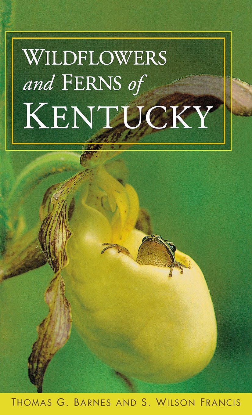 Wildflowers And Ferns Of Kentucky,New