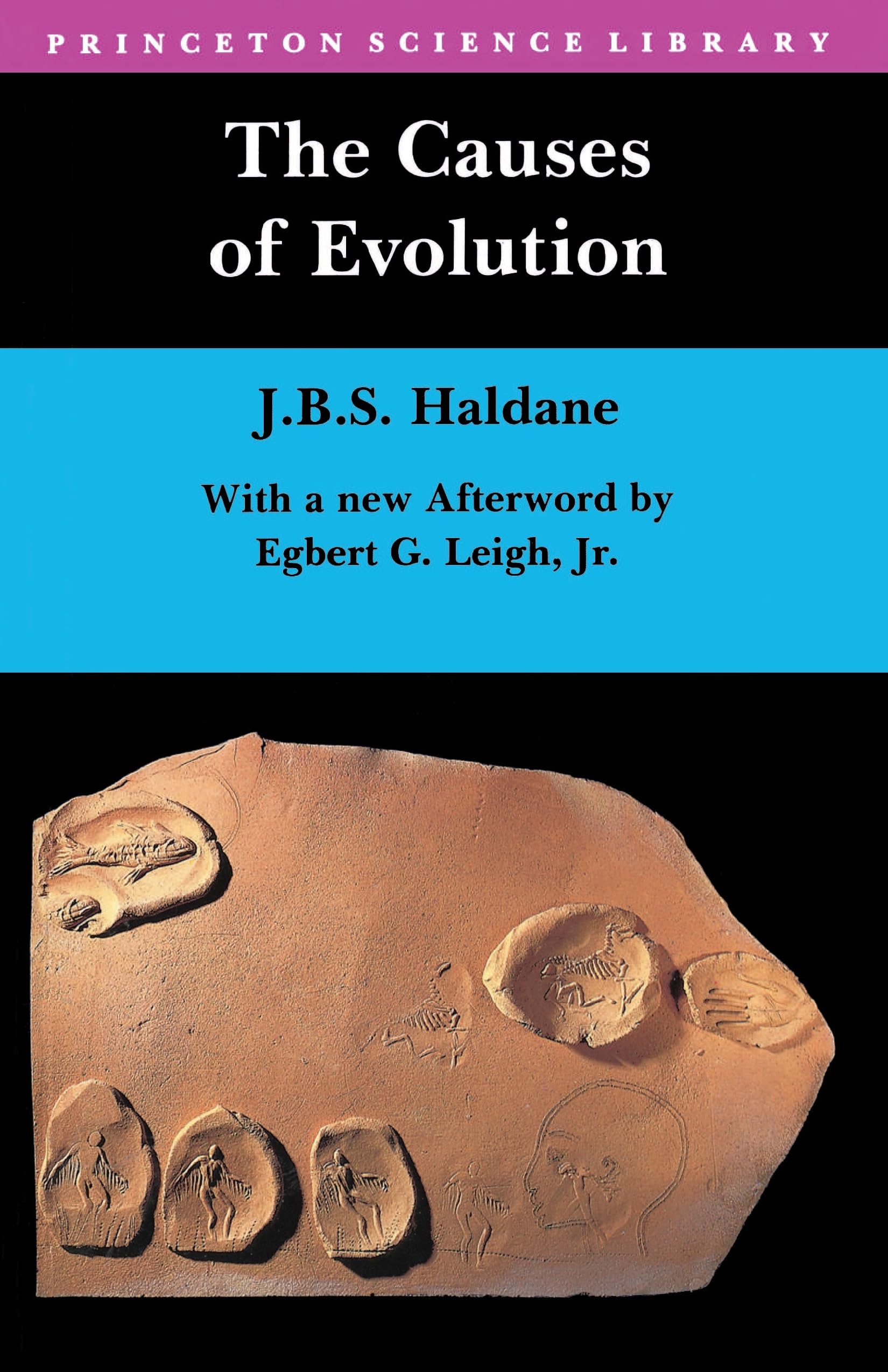 The Causes Of Evolution (Princeton Science Library),Used