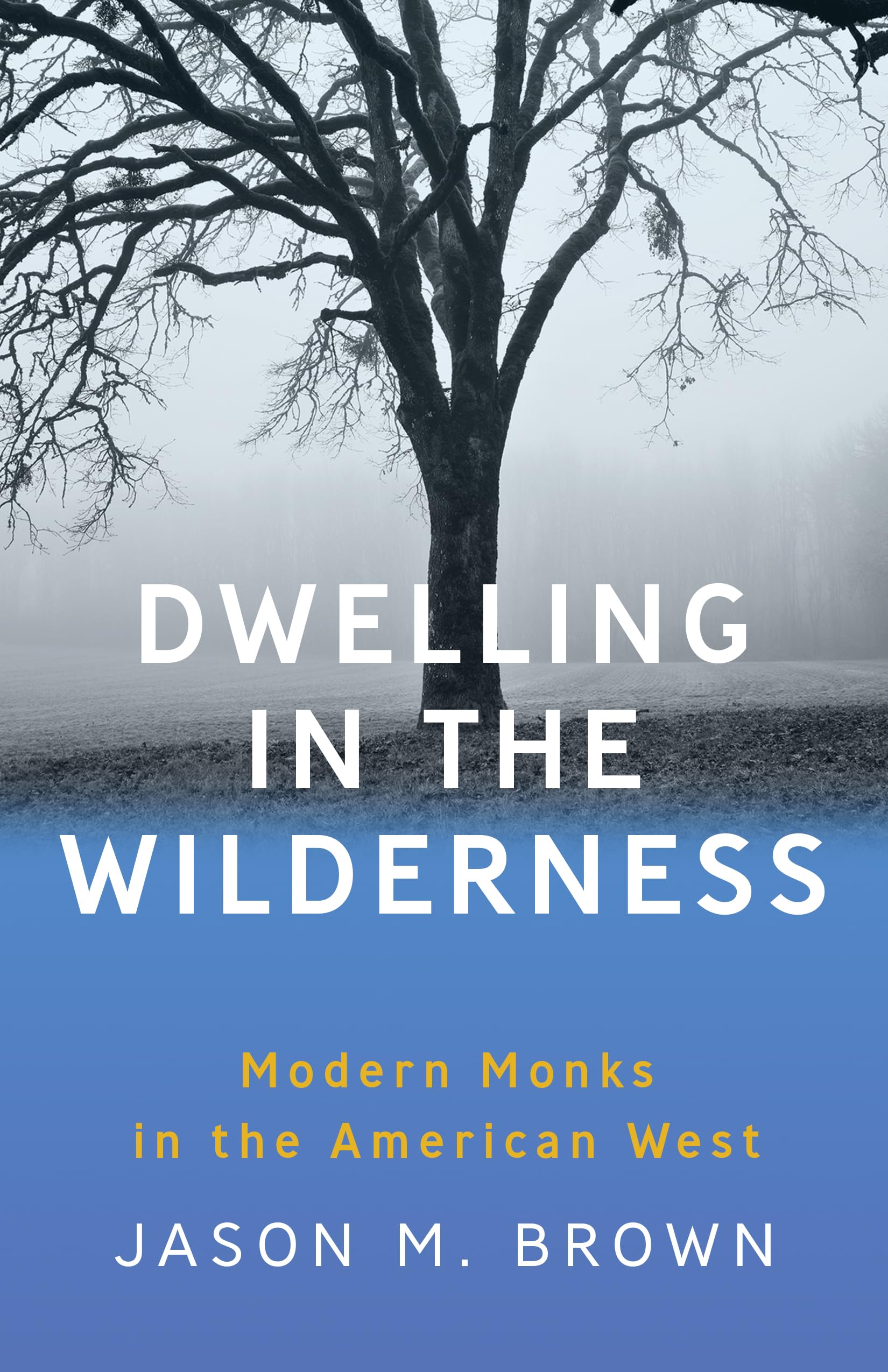 Dwelling In The Wilderness: Modern Monks In The American West,Used